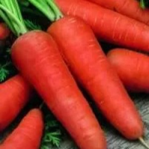 Морква Морква