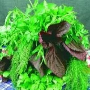 Пряносмакові культури