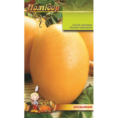 Апельсин — насіння, Томати
