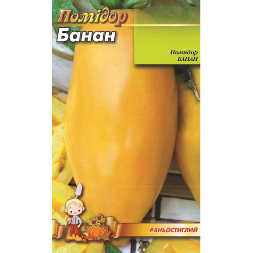 Банан оранжевий — насіння, Томати
