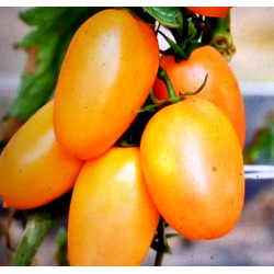 Де барао оранжевий