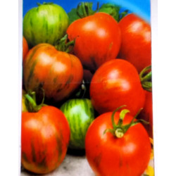 Де барао тигровий