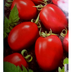 Засолочне чудо