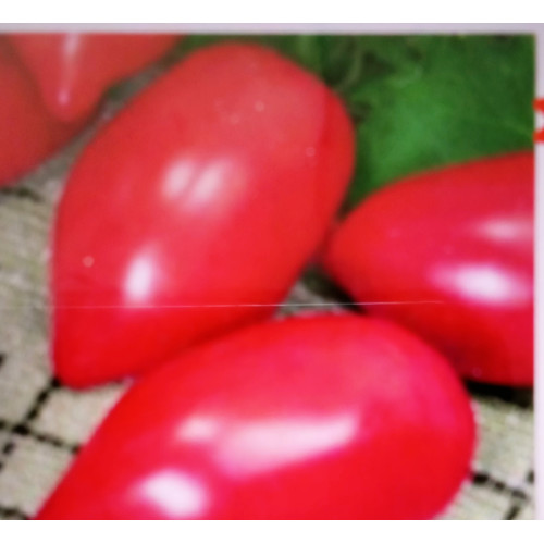 Рожевий фламінго — насіння, Томати