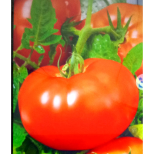 Слов'янський Шедевр — насіння, Томати