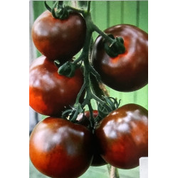 Чорний принц