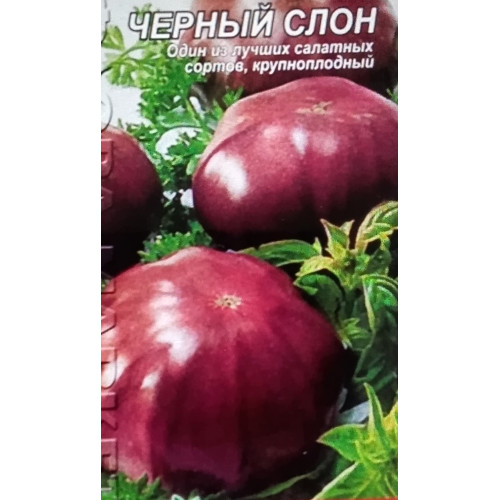 Чорний слон — насіння, Томати