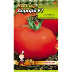 Аврора