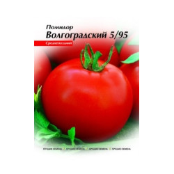 Волгоградський 5/95
