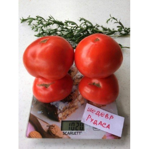 Шедевр Рудас — насіння, Томати