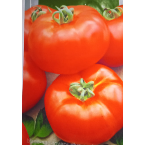 Джина — насіння, Томати