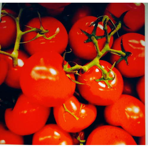 Катюша F / 1 — насіння, Томати