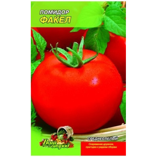 Факел — насіння, Томати