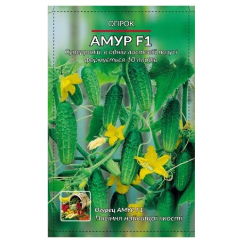 Амур F1 — насіння, Огірки