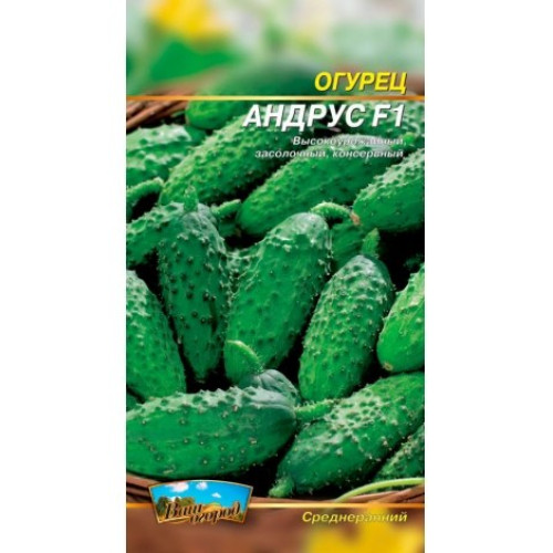 Андрус F1 — насіння, Огірки