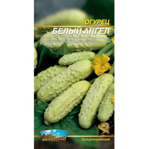 Білий ангел — насіння, Огірки