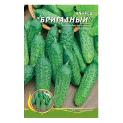 БрігаднийF1