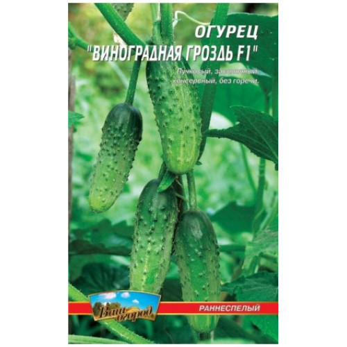 Виноградне гроно — насіння, Огірки