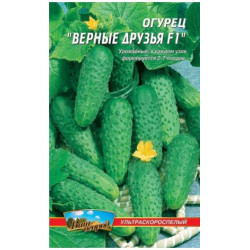 Вірні друзі