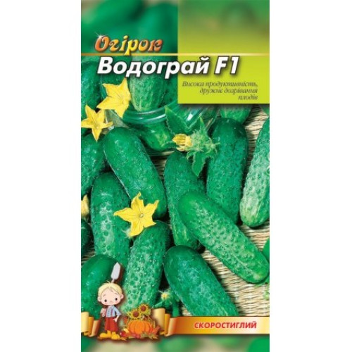Водограй — насіння, Огірки