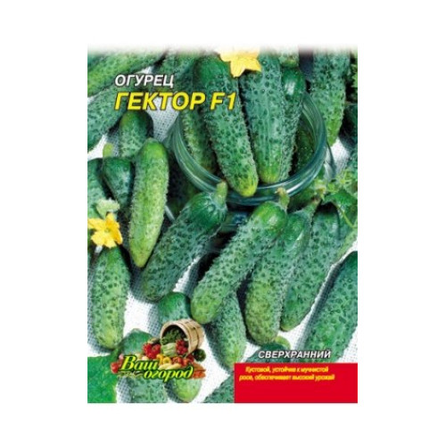 ГекторF1 — насіння, Огірки