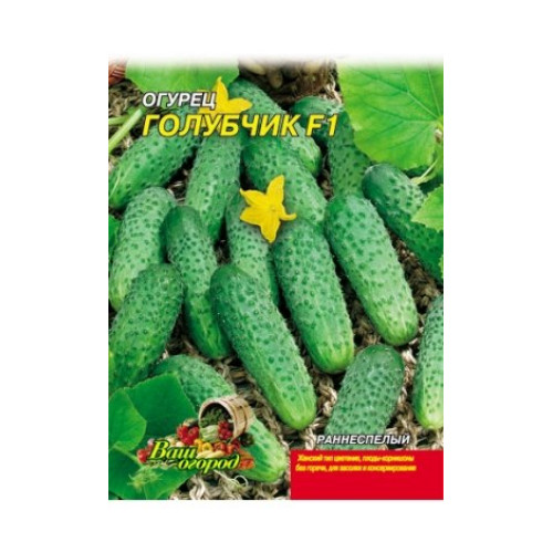 Голубчик F1 — насіння, Огірки