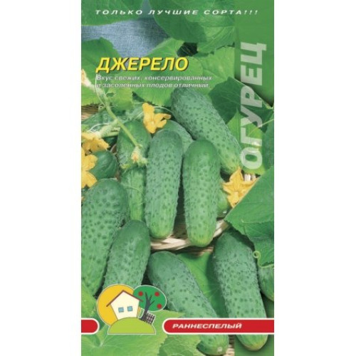 Джерело — насіння, Огірки