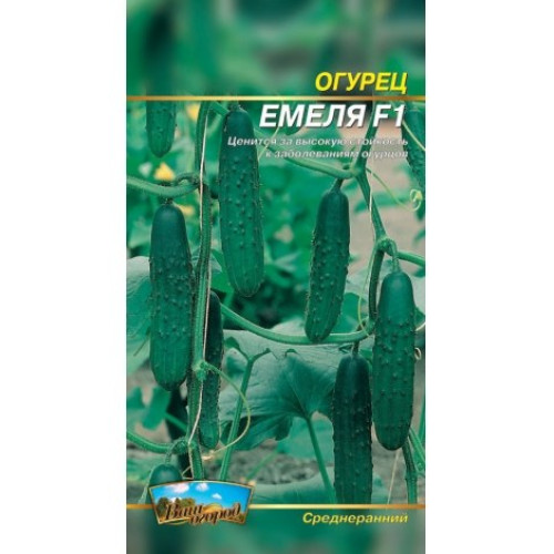 Ємеля — насіння, Огірки