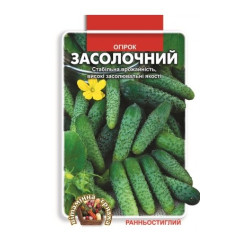 Засолочний