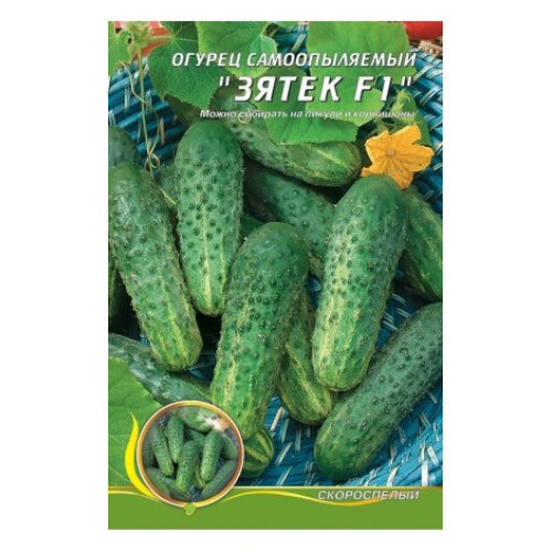 Зятьок — насіння, Огірки
