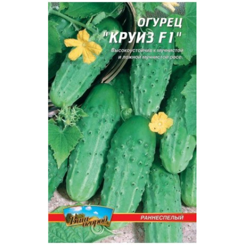 Круїз F1 — насіння, Огірки