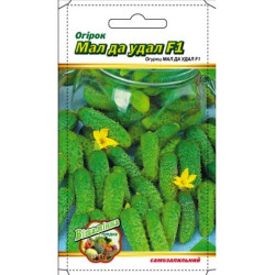 Малий та молодецький F1