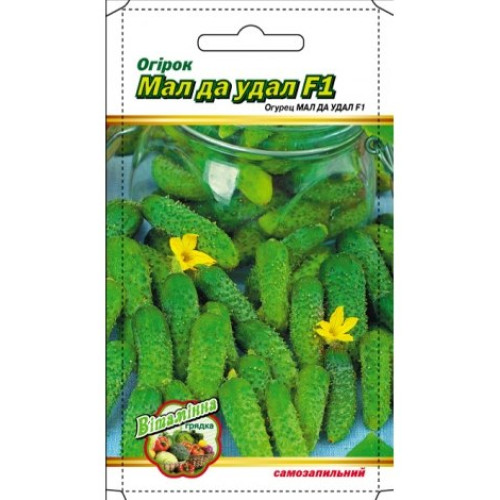 Малий та молодецький F1 — насіння, Огірки
