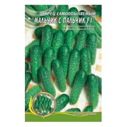 Хлопчик з пальчікF1