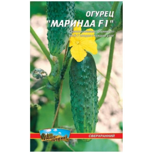 Марінда F1 — насіння, Огірки