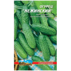 Ніжинський