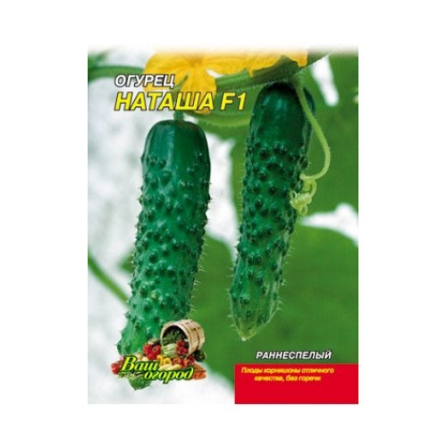 Наташа F1 — насіння, Огірки