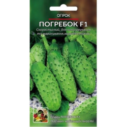 Підвальчик F