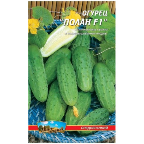 ПоланF1 — насіння, Огірки