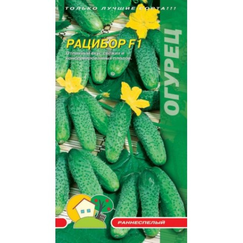 РаціборF1 — насіння, Огірки