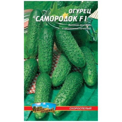 СамородокF1 — насіння, Огірки
