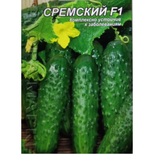 Сремский F1 — насіння, Огірки