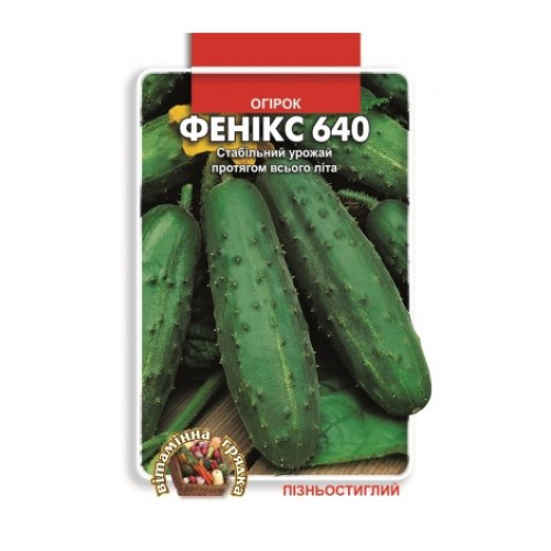 Фенікс 640 — насіння, Огірки
