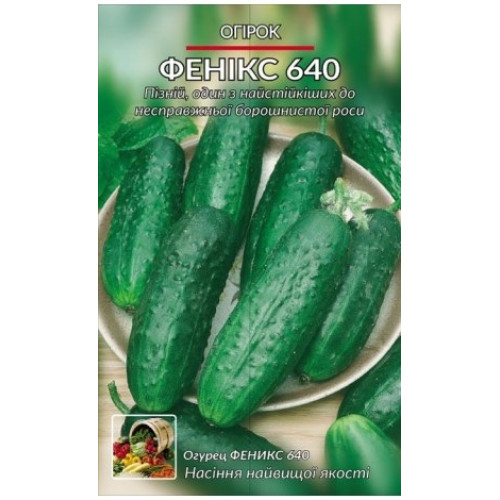 Фенікс 640 — насіння, Огірки