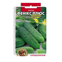 Фенікс плюс