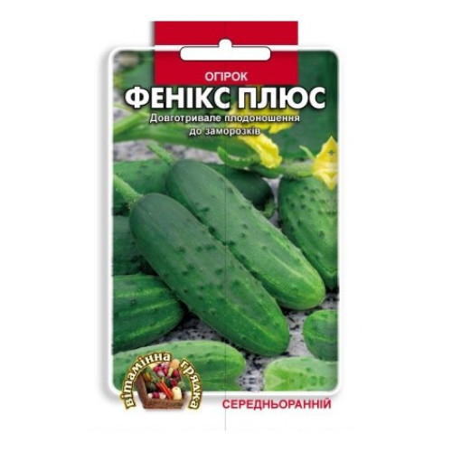 Фенікс плюс — насіння, Огірки