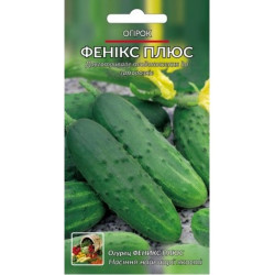 Фенікс плюс