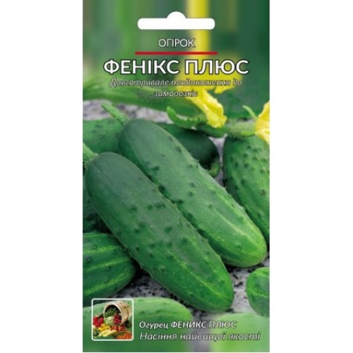 Фенікс плюс — насіння, Огірки