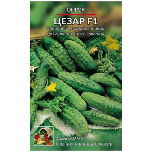 Цезар — насіння, Огірки
