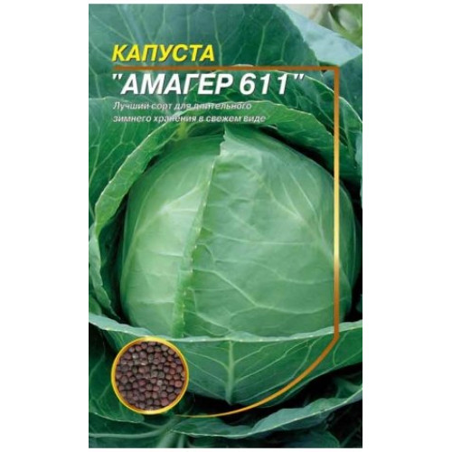 Амагер 611 — насіння, Капуста